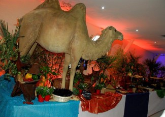 Reunion_GO-65ansClubMed (10)